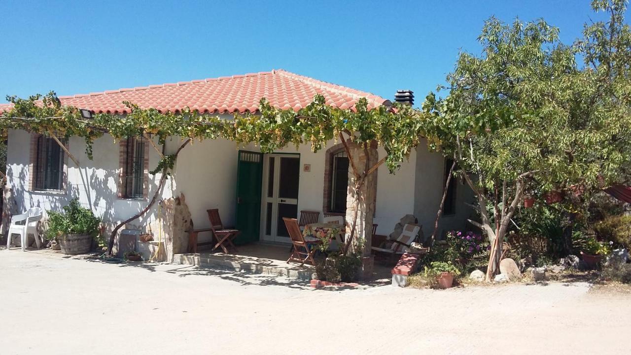 Punteri Hotel Loculi Buitenkant foto